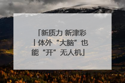新质力 新津彩丨体外“大脑”也能“开”无人机