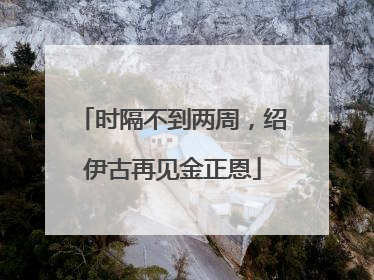 时隔不到两周，绍伊古再见金正恩