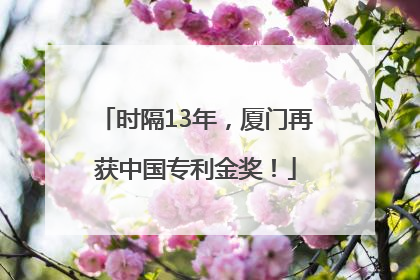 时隔13年，厦门再获中国专利金奖！
