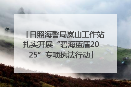 日照海警局岚山工作站扎实开展“碧海蓝盾2025”专项执法行动