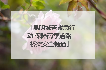 昆明城管紧急行动 保障雨季道路桥梁安全畅通
