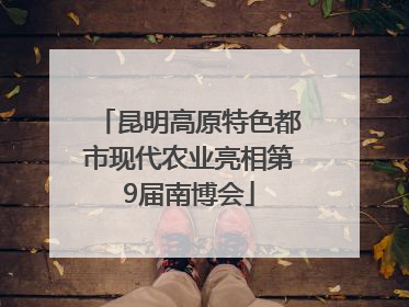 昆明高原特色都市现代农业亮相第9届南博会
