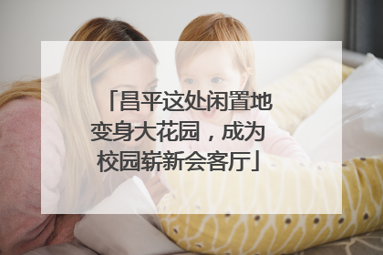 昌平这处闲置地变身大花园，成为校园崭新会客厅