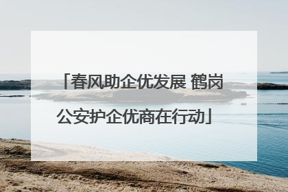春风助企优发展 鹤岗公安护企优商在行动
