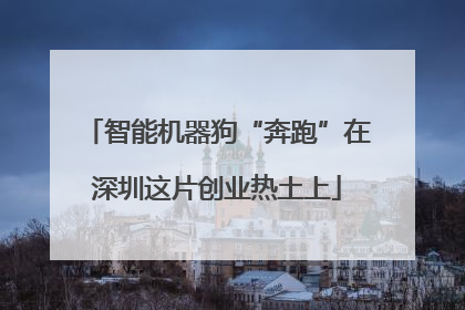 智能机器狗“奔跑”在深圳这片创业热土上