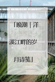 晚潮｜洋溪江畔的岁月诗笺