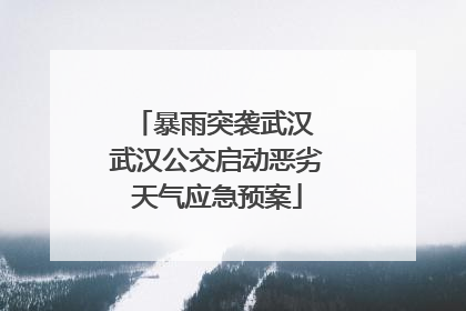 暴雨突袭武汉 武汉公交启动恶劣天气应急预案