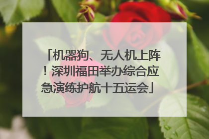 机器狗、无人机上阵！深圳福田举办综合应急演练护航十五运会