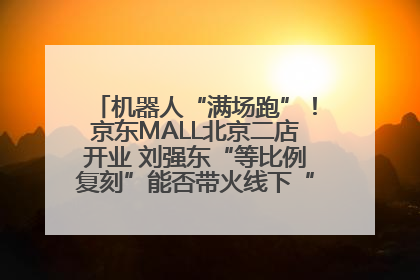机器人“满场跑”！京东MALL北京二店开业 刘强东“等比例复刻”能否带火线下“618”？