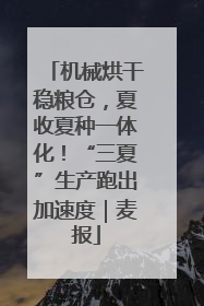 机械烘干稳粮仓，夏收夏种一体化！“三夏”生产跑出加速度｜麦报