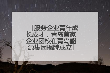 服务企业青年成长成才，青岛首家企业团校在青岛能源集团揭牌成立
