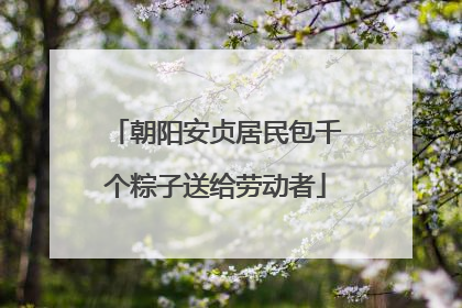 朝阳安贞居民包千个粽子送给劳动者