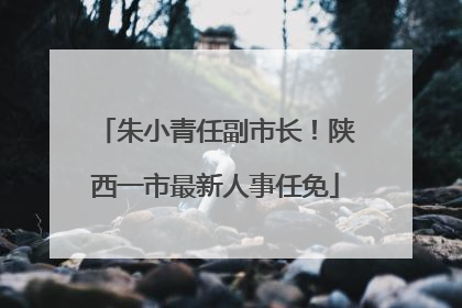 朱小青任副市长！陕西一市最新人事任免