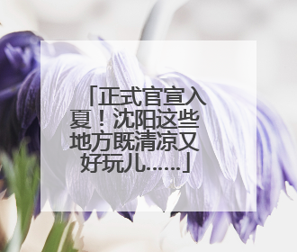 正式官宣入夏！沈阳这些地方既清凉又好玩儿……
