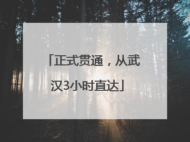 正式贯通，从武汉3小时直达