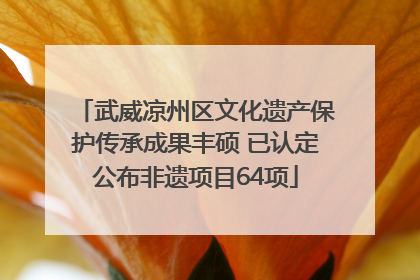 武威凉州区文化遗产保护传承成果丰硕 已认定公布非遗项目64项