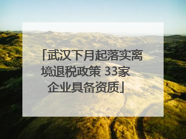 武汉下月起落实离境退税政策 33家企业具备资质