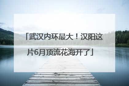 武汉内环最大！汉阳这片6月顶流花海开了