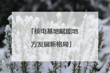 核电基地赋能地方发展新格局