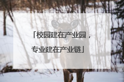 校园建在产业园，专业建在产业链