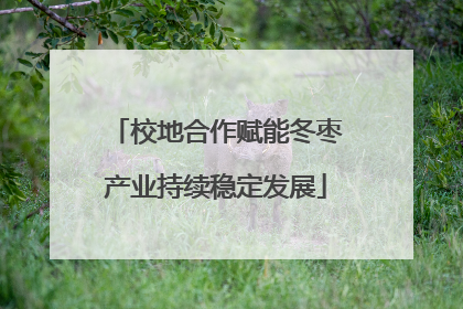 校地合作赋能冬枣产业持续稳定发展