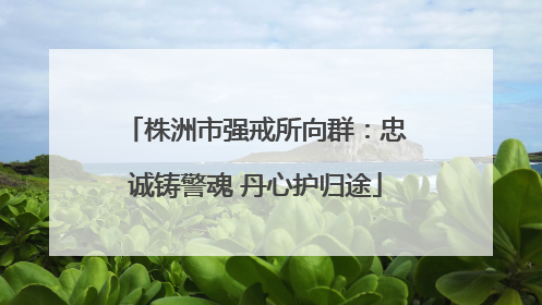 株洲市强戒所向群：忠诚铸警魂 丹心护归途