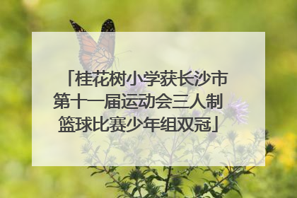 桂花树小学获长沙市第十一届运动会三人制篮球比赛少年组双冠