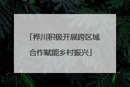 桦川积极开展跨区域合作赋能乡村振兴