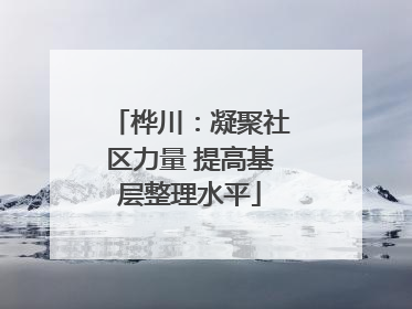 桦川：凝聚社区力量 提高基层整理水平