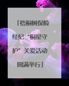 梧桐树保险经纪“桐星守护”关爱活动圆满举行