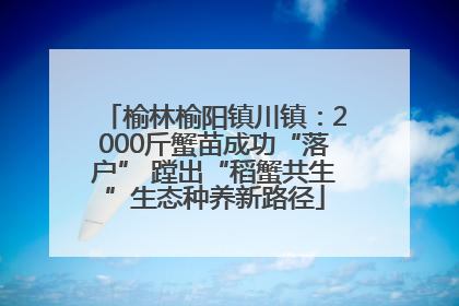 榆林榆阳镇川镇：2000斤蟹苗成功“落户” 蹚出“稻蟹共生”生态种养新路径