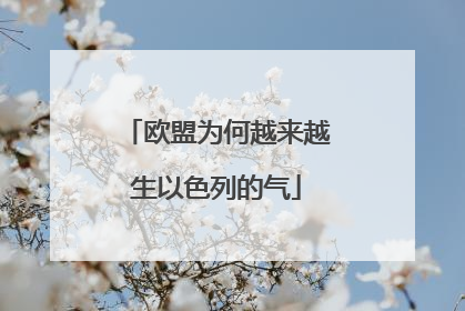 欧盟为何越来越生以色列的气