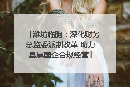 潍坊临朐：深化财务总监委派制改革 助力县属国企合规经营