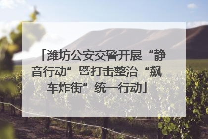 潍坊公安交警开展“静音行动”暨打击整治“飙车炸街”统一行动