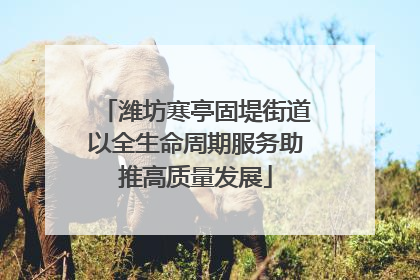 潍坊寒亭固堤街道以全生命周期服务助推高质量发展