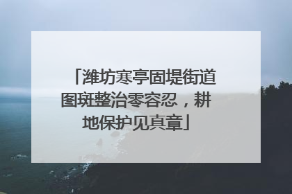 潍坊寒亭固堤街道图斑整治零容忍，耕地保护见真章