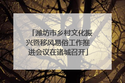 潍坊市乡村文化振兴暨移风易俗工作推进会议在诸城召开