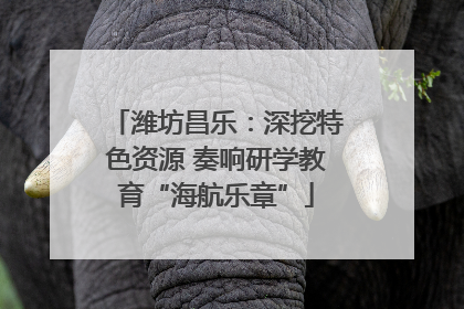 潍坊昌乐：深挖特色资源 奏响研学教育“海航乐章”