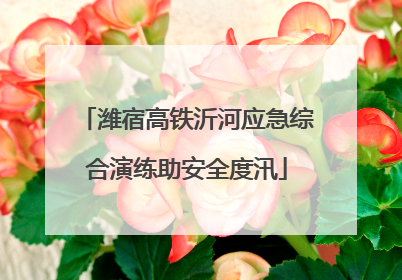 潍宿高铁沂河应急综合演练助安全度汛