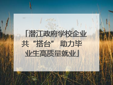 潜江政府学校企业共“搭台” 助力毕业生高质量就业