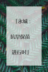 永城：抗旱保苗进行时