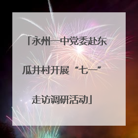 永州一中党委赴东瓜井村开展“七一”走访调研活动