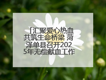 汇聚爱心热血 共筑生命桥梁 菏泽单县召开2025年无偿献血工作启动仪式