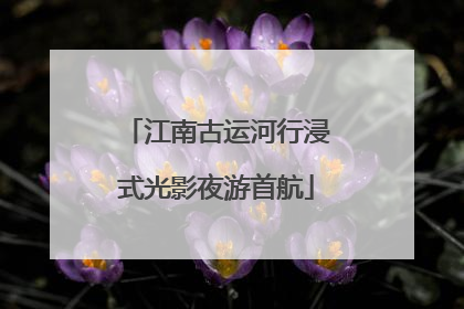 江南古运河行浸式光影夜游首航