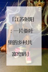 江苏射阳：一片桑叶里的乡村共富密码