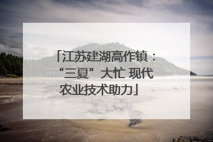 江苏建湖高作镇：“三夏”大忙 现代农业技术助力