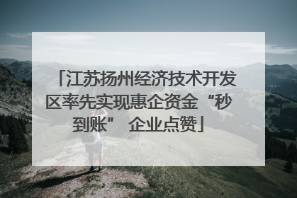 江苏扬州经济技术开发区率先实现惠企资金“秒到账” 企业点赞
