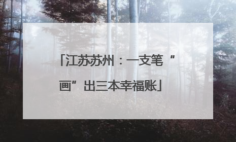 江苏苏州：一支笔“画”出三本幸福账