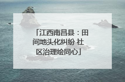 江西南昌县：田间地头化纠纷 社区治理绘同心