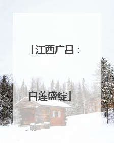 江西广昌：白莲盛绽
